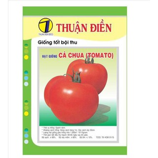 Hạt giống cà chua trái lớn