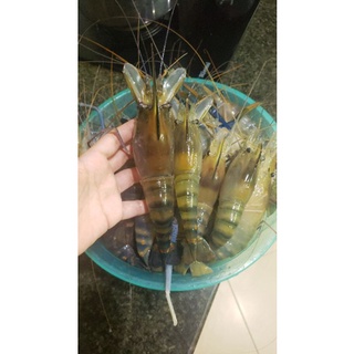 Bánh phồng tôm .