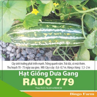 [Chính Hãng] Hạt giống Dưa Gang Rạng Đông RADO 779 gói 1g, Sinh Trưởng Mạnh, Trái Thơm