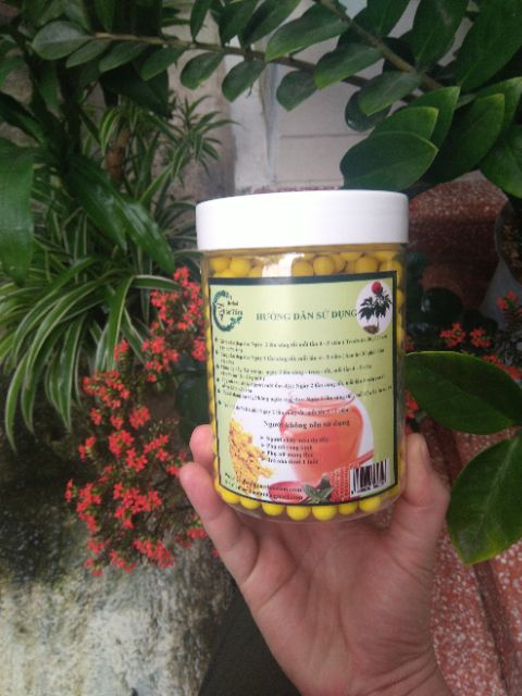 VIÊN NGHỆ -TAM THẤT- XẠ ĐEN THẢO TÂM | BigBuy360 - bigbuy360.vn