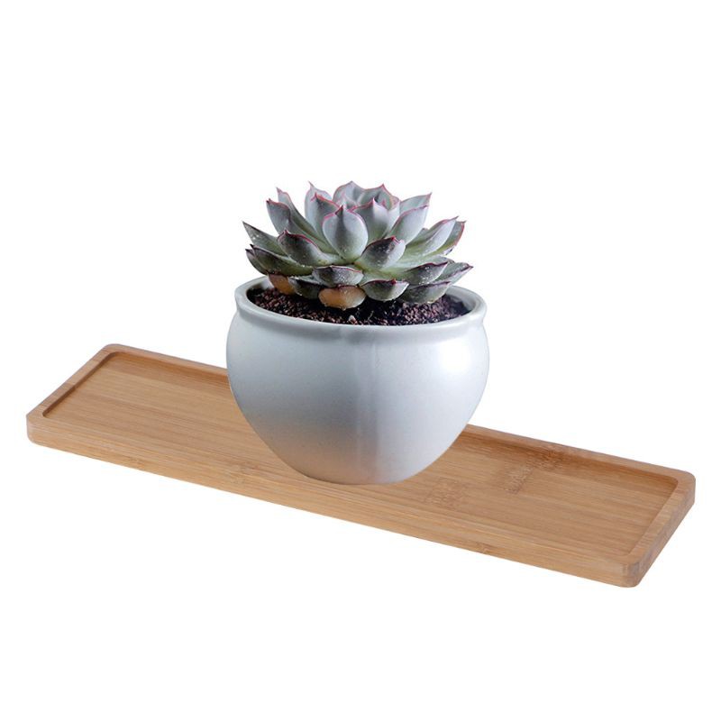 Khay Gỗ Đựng Thực Phẩm Kiểu Dáng Đơn Giản Tiện Dụng