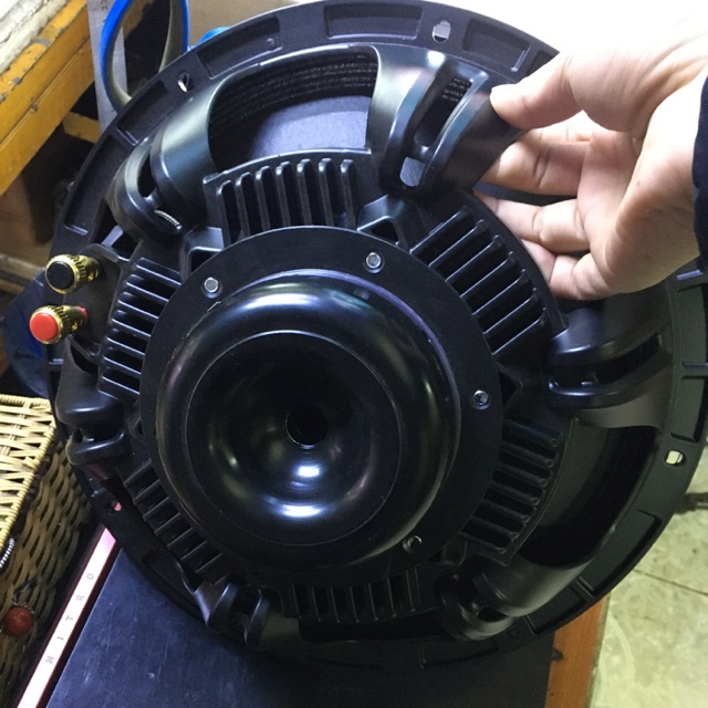 Bass 30 NR từ neo tiếng cực hay.(Giá 2 chiếc)