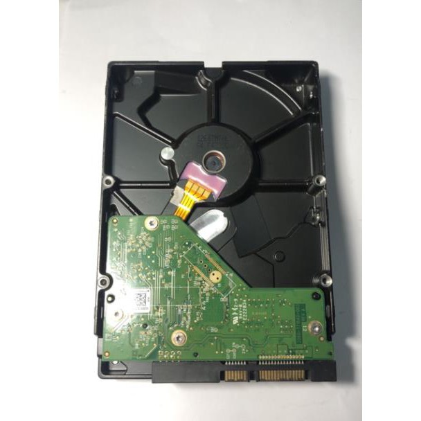 Ổ cứng 250g western