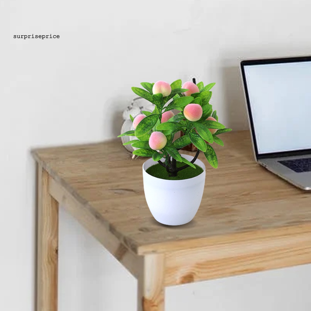 Chậu cây bonsai nhân tạo bằng nhựa sống động như thật trang trí nhà cửa nhiều kiểu dáng