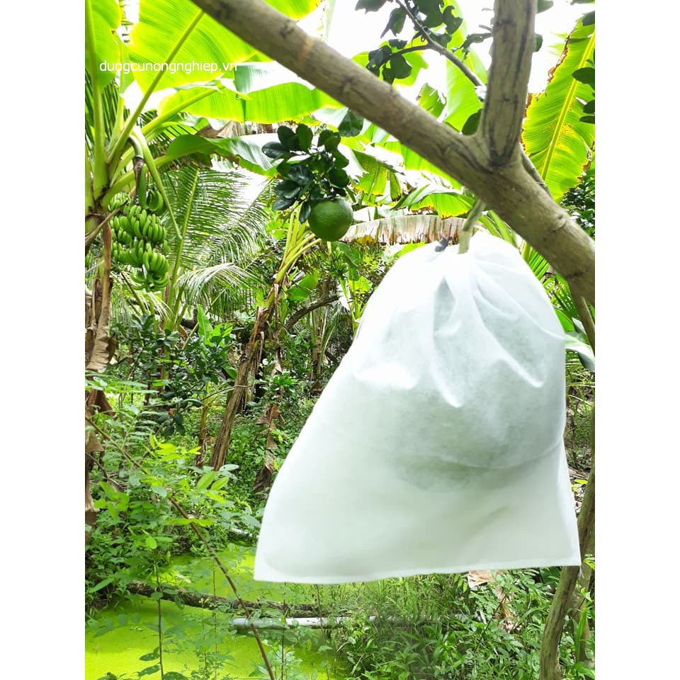 (hot) COMBO 50 TÚI BỌC TRÁI CÂY 30X30.2 CM CÓ DÂY RÚT BỌC TRÁI BƯỞI,SẦU RIÊNG hàng chất.