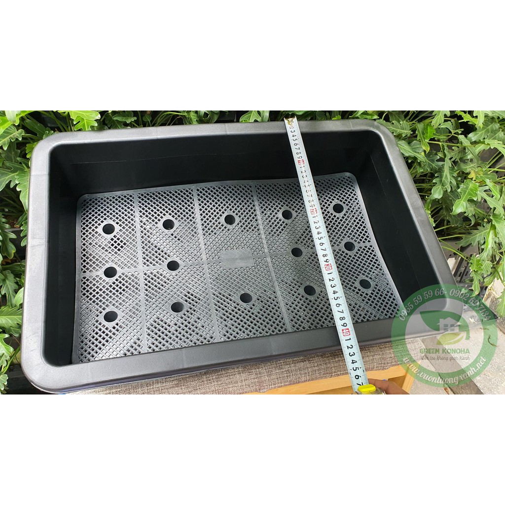CHẬU TRỒNG RAU, TRỒNG RAU THỦY SINH SIÊU RỘNG GREEN KONOHA