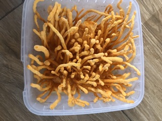 ĐÔNG TRÙNG HẠ THẢO TƯƠI 100GR