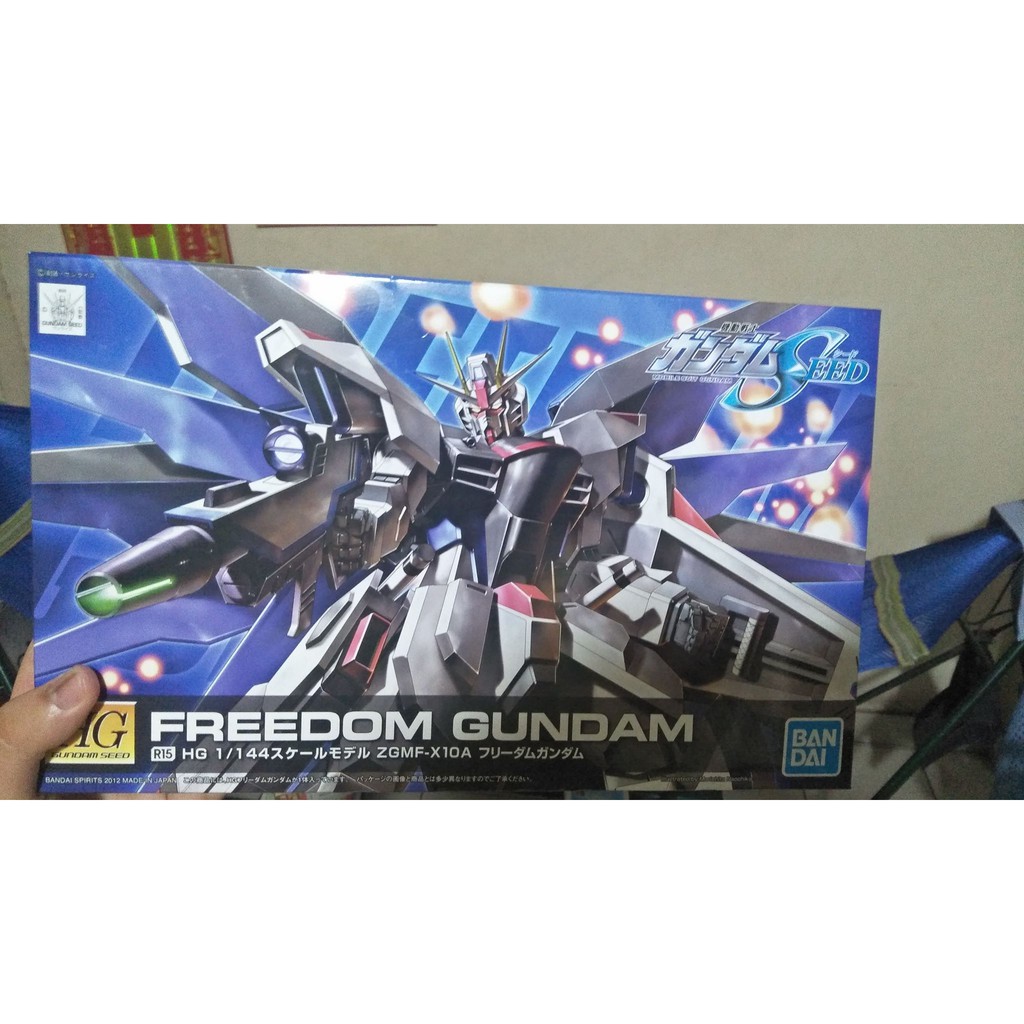 Gundam HG freedom R15