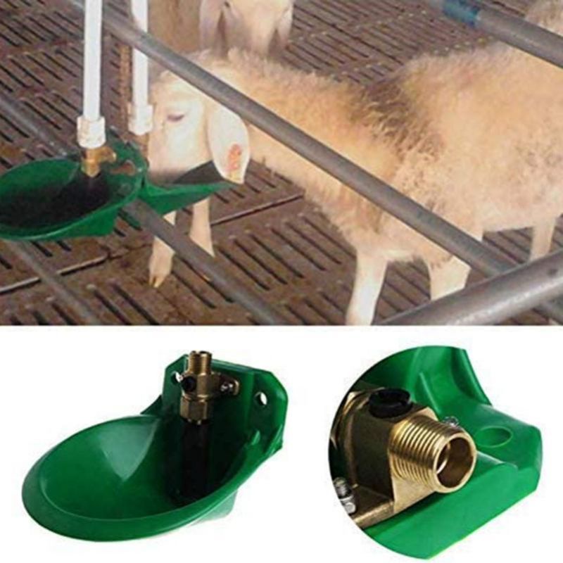 Máng uống cho dê cừu , hưu nai