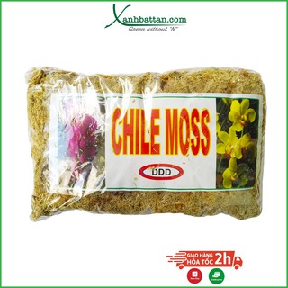 Giá thể trồng lan Chile Moss 5 dm3