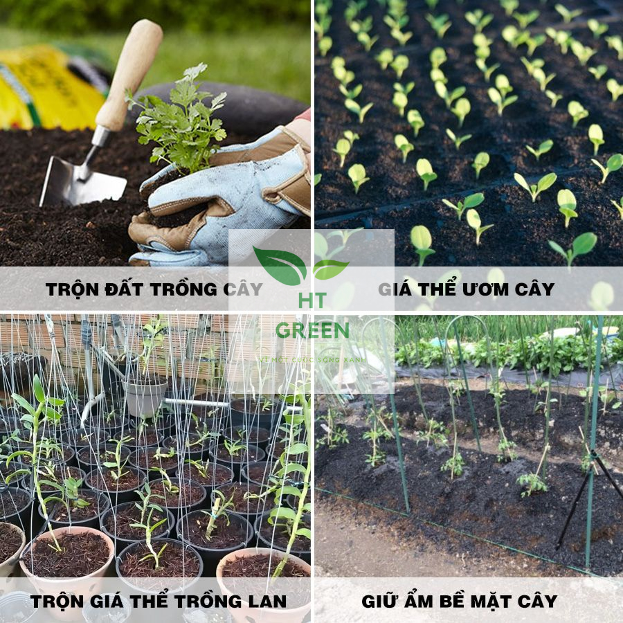 Mụn xơ dừa mịn đã qua xử lý thích hợp làm giá thể, ươm mầm cây, hạt giống, trồng rau mầm