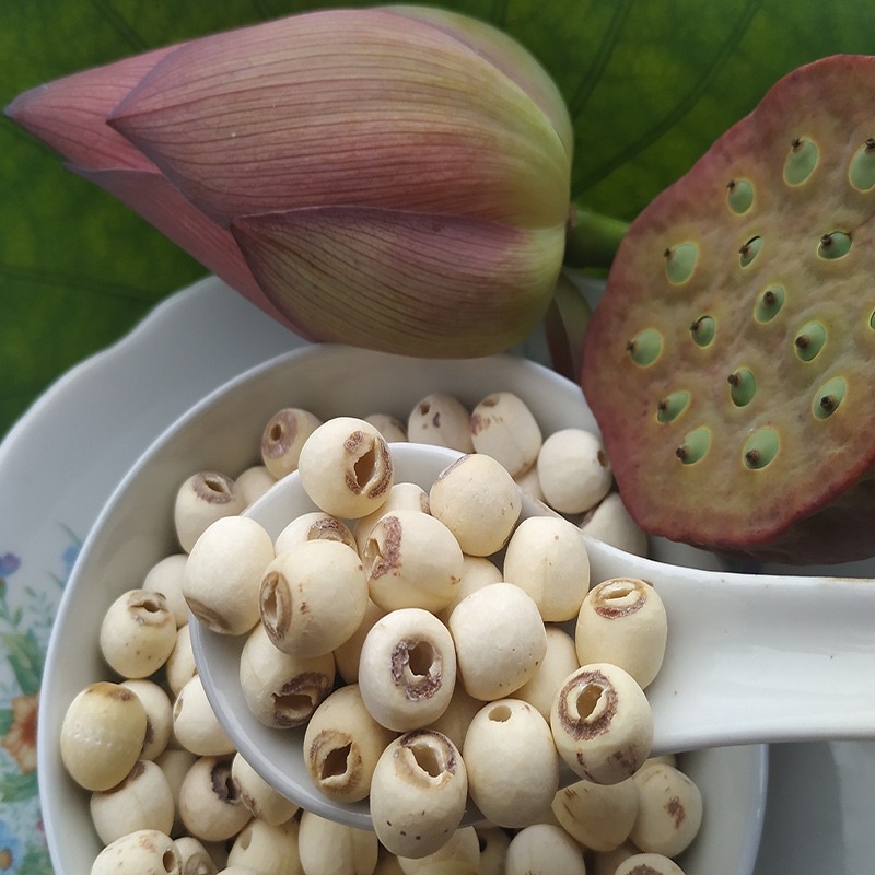 Hạt sen khô Đồng Tháp 500gr loại ngon | Bột Natural