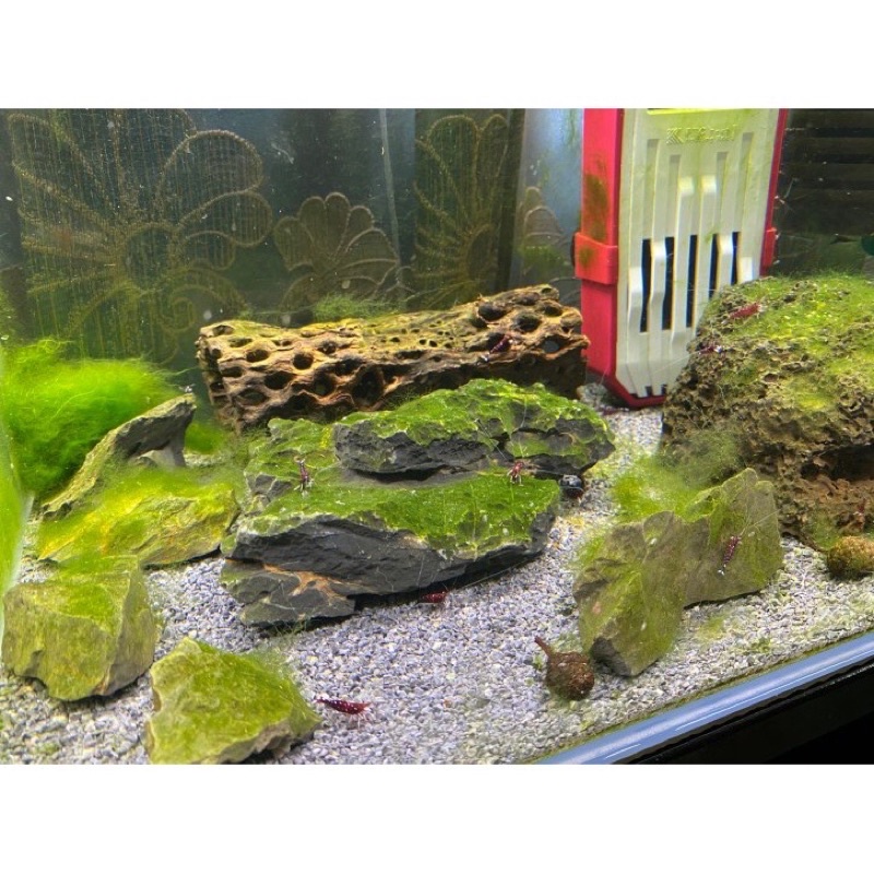 [BAO 7KG] Nền SEACHEM ONYX | Nền Tăng PH Cao Dùng Làm Hồ Tép Sula, Hồ Cá