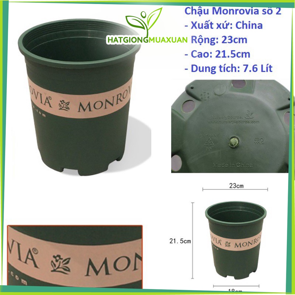combo 10 chậu monrovia số 2 - hàng TQ