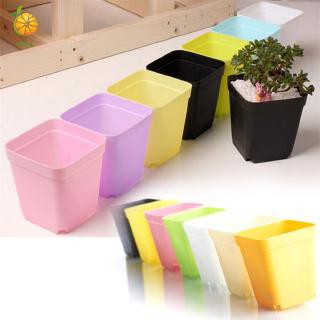 🔥 SALE + FREE SHIP 🔥 Chậu nhựa 7 x 7 cm kèm đĩa lót