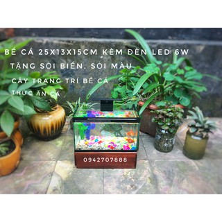 Bể cá mini 25 cm với 4 món (bể cá, sỏi nền, thức ăn , cây nhựa mini)