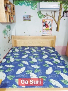 m8x2m Ga chống thấm nano Suri