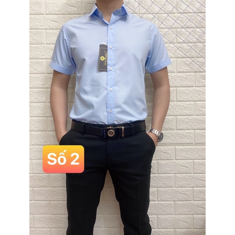 SƠ MI NAM NGẮN TAY | BigBuy360 - bigbuy360.vn