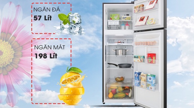 Tủ lạnh LG Inverter 255 lít GN-M255BL(CÓ MÀU BẠC) (Miễn phí giao tại HCM-ngoài tỉnh liên hệ shop)