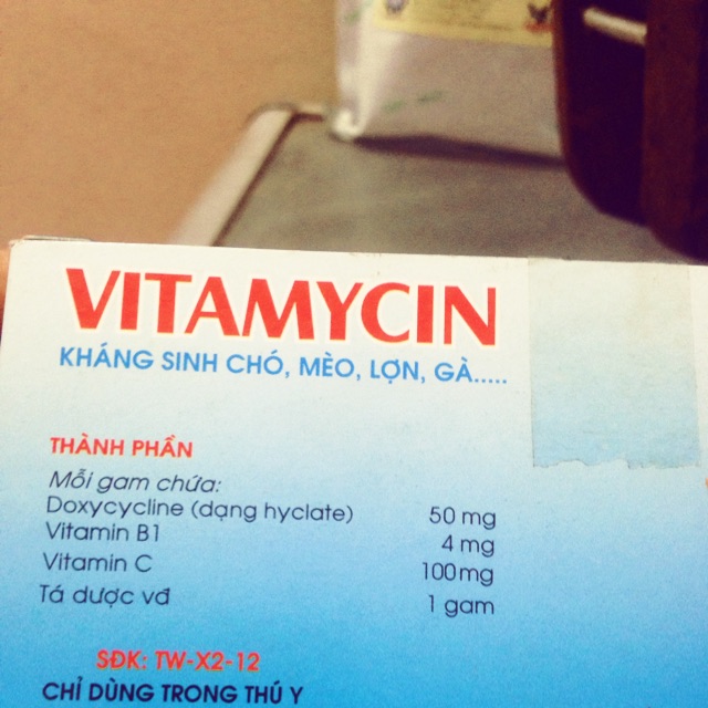 Kháng sinh phòng và trị bệnh trên chó , mèo, lợn, gà, chim