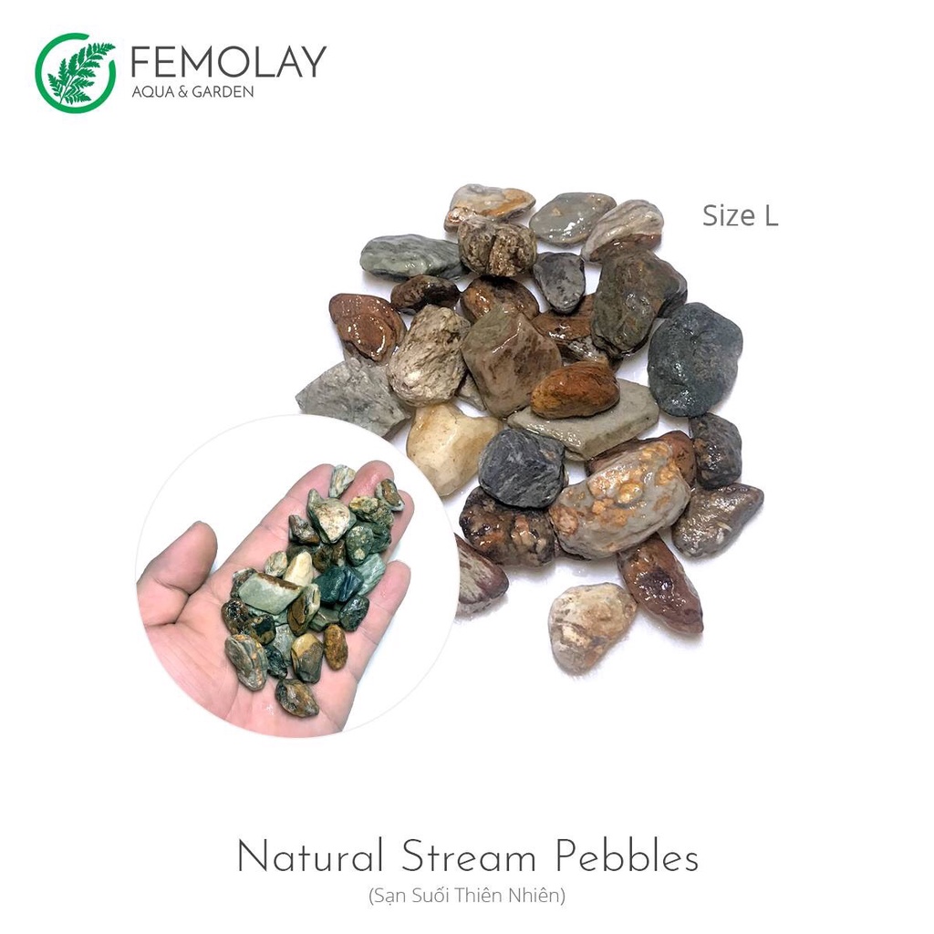 Sạn Suối Thiên Nhiên Femolay | Size L | Bao 2KG | Trang trí trải nền bể thủy sinh, Biotope.