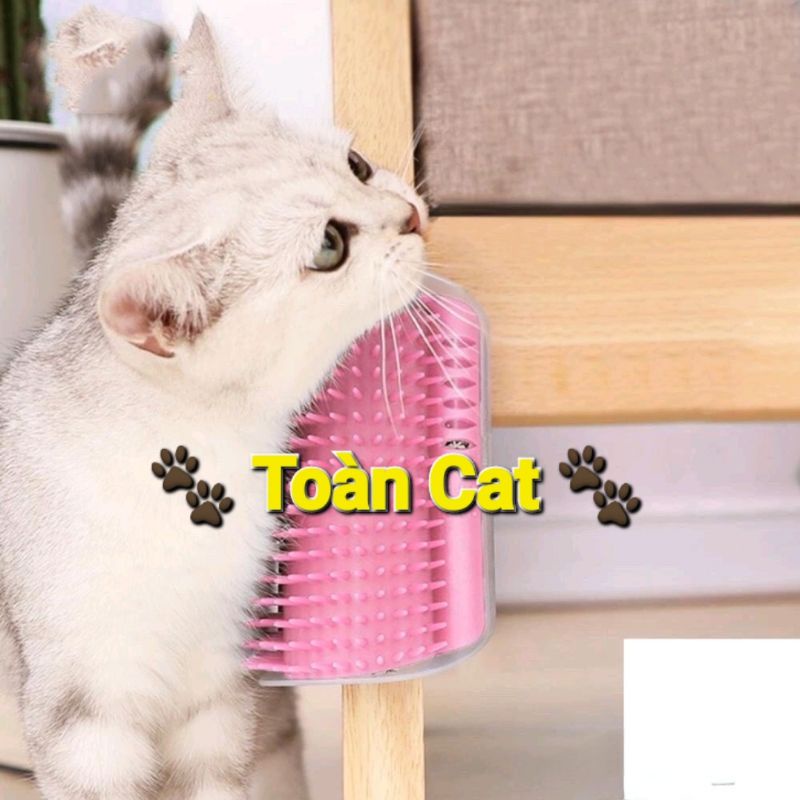 Lược chải lông gắn góc tường cho mèo cọ gồm cỏ mèo( Màu sắc giao ngẫu nhiên)