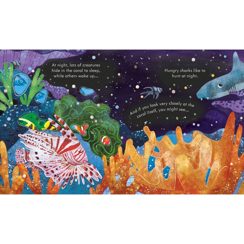 Sách - Anh : Peep inside a Coral Reef