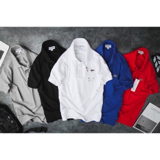 Áo thun nam có cổ Lacoste