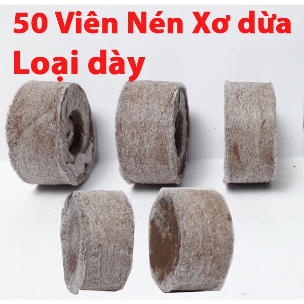 50 viên nén xơ dừa ươm cây