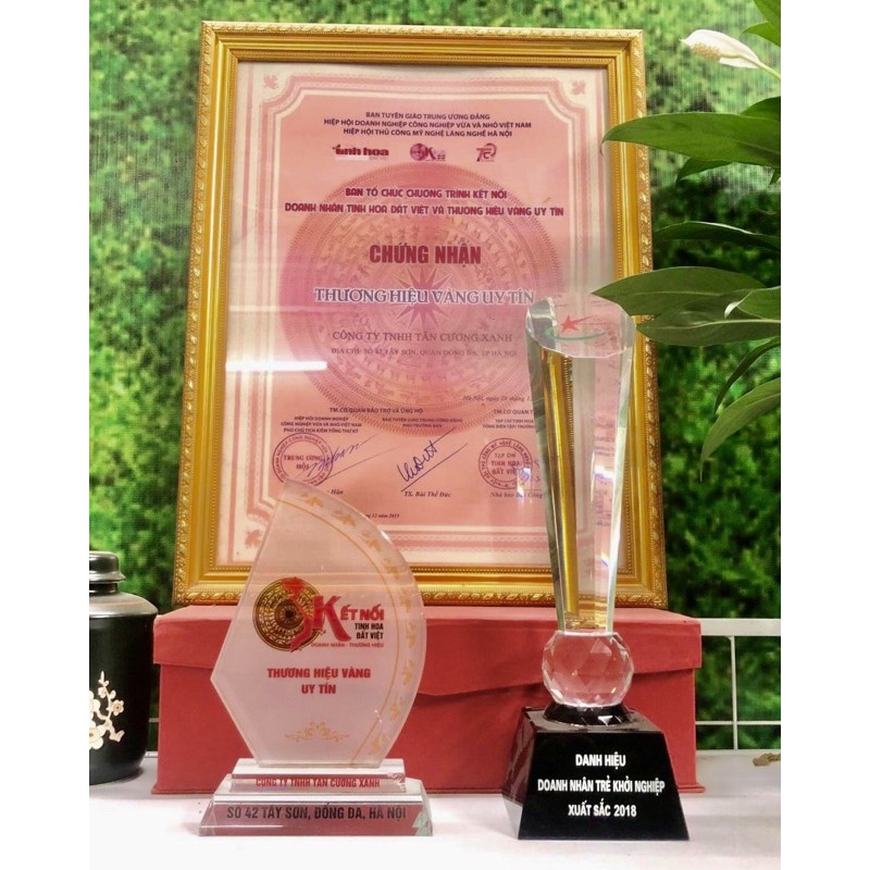 Trà Đinh Tân Cương Tiến Quan 100gr / 500gr Trà Thái Nguyên TÂN CƯƠNG XANH | BigBuy360 - bigbuy360.vn