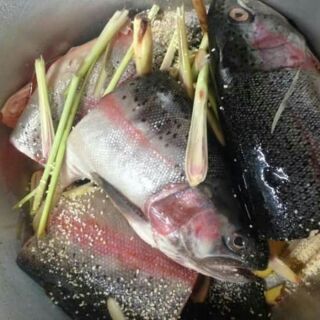 Ruốc cá Hồi nauy 200g