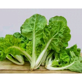 Gói 10g hạt giống cải bẹ dún giòn, ngọt dễ trồng