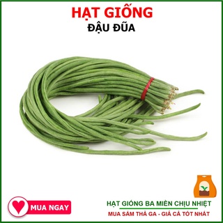 Hạt giống đậu đũa cao sản rạng đông 20gram