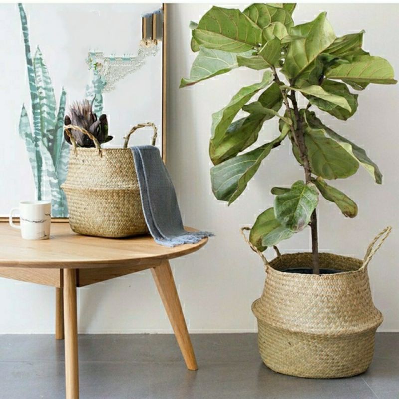 Giỏ cói trơn trồng cây/decor/đựng quần áo/đựng vật dụng nhỏ, Hàng XK Châu Âu