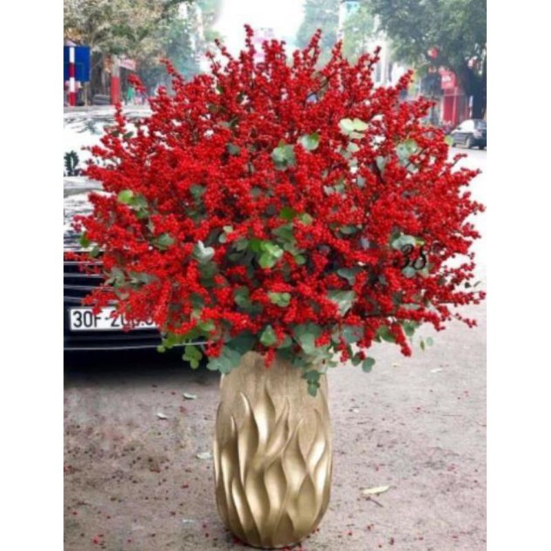Đào đông 12 nhánh mỗi nhánh 12 quả hàng nhập khẩu, đào đông 10nhánh