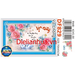 TRANH ĐÍNH ĐÁ VỢ CHỒNG DF829 (70 x 45 cm)
