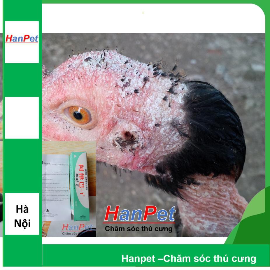 HN- Trị nấm gà, mốc gà chọi, trị lác gà đá ALBER-T dạng tuyp bôi 10gr MADEIN THAILAND (Hanpe