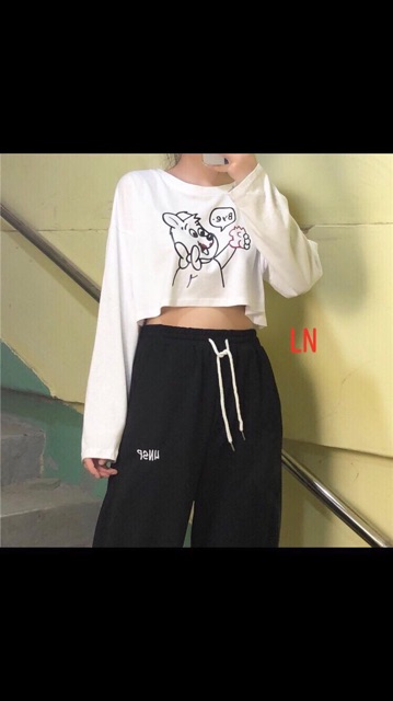 [FREESHIP ĐƠN TỪ 50K] Áo croptop gấu Bye dài tay LNG1119
