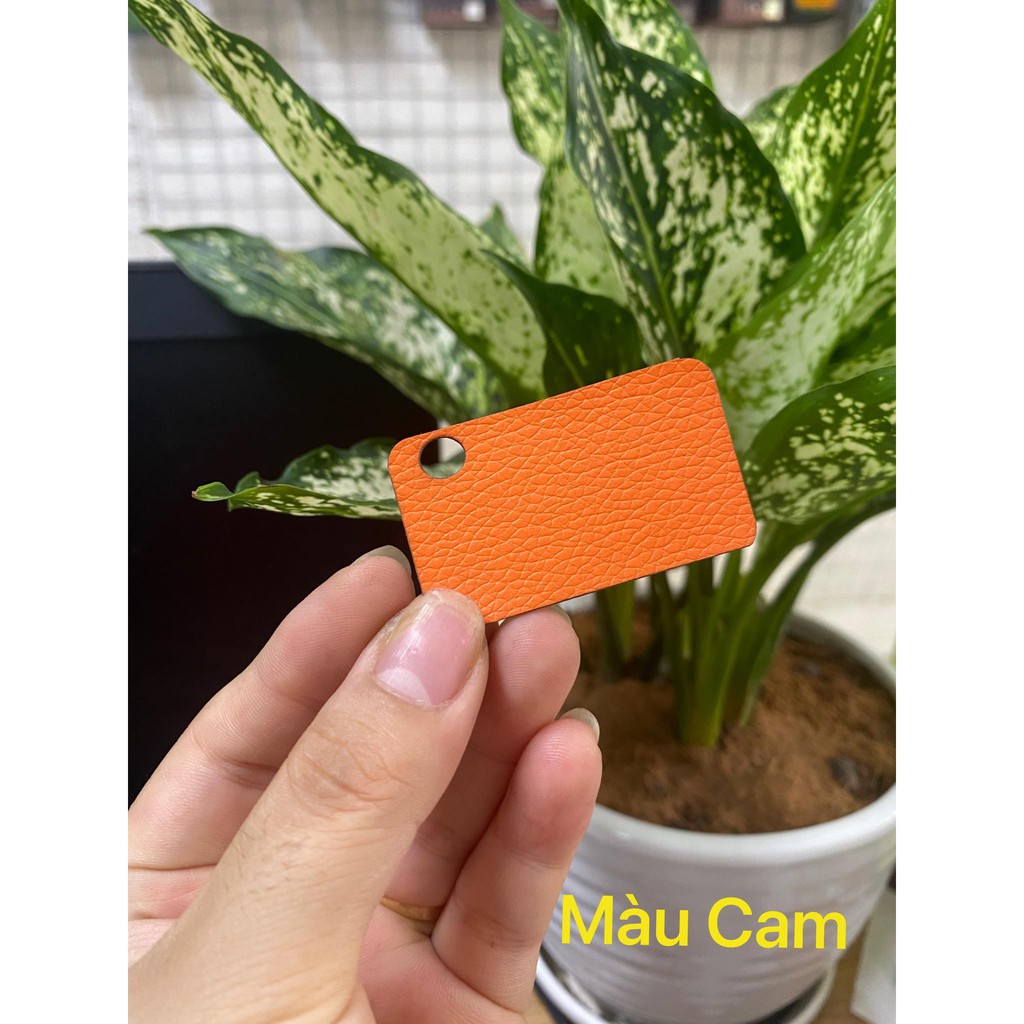 Dán da lưng trơn 1 màu cho Blackberry Q20