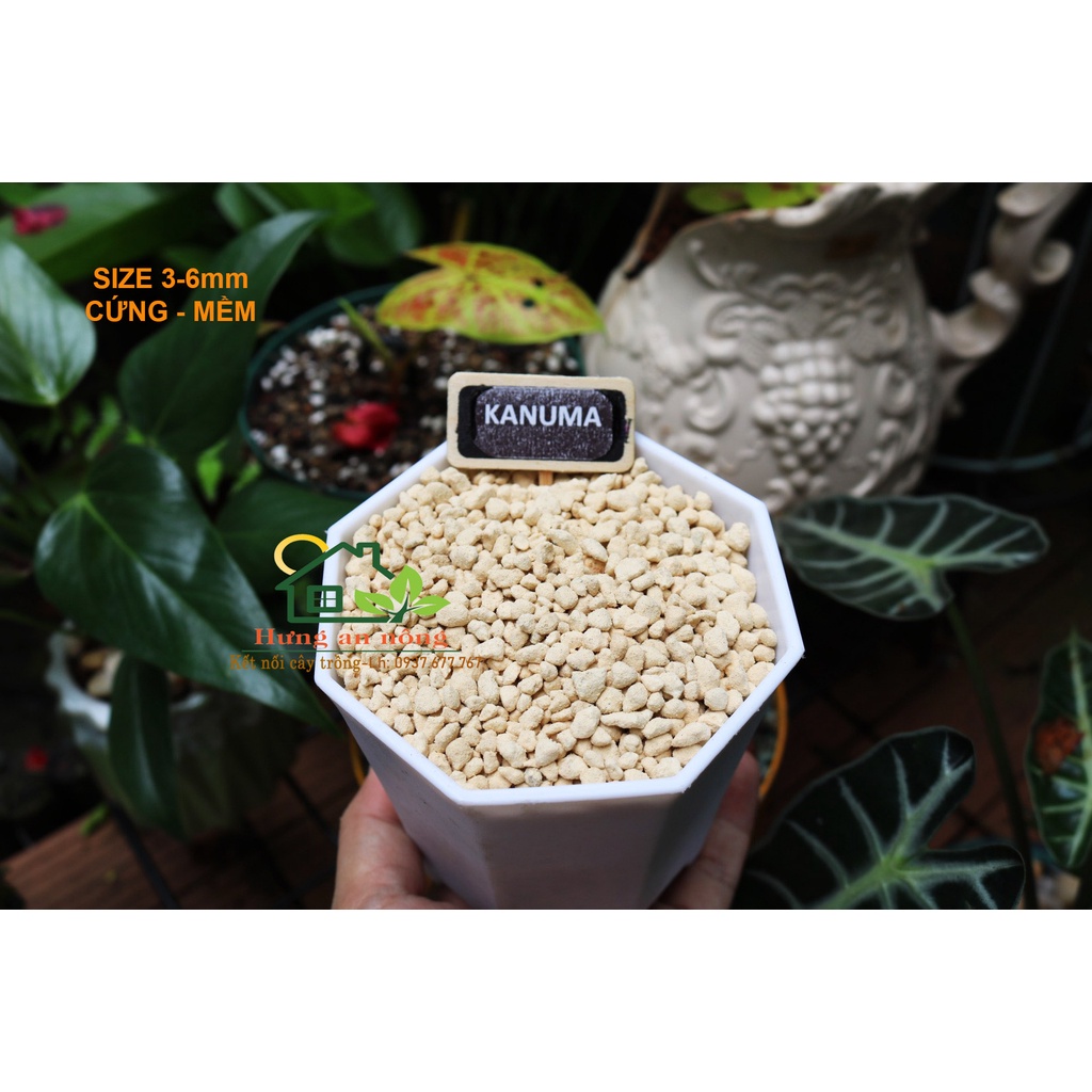 Các loại giá thể đất, đá, rêu, phân bón, chuyên trồng sen đá, xương rồng, bonsai, kiểng lá, cây kiểng...