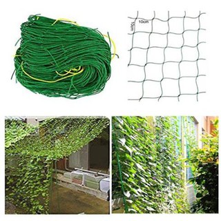 Lưới làm giàn dây leo(0,9m x 1,8m) lưới làm giàn cây Ollie net