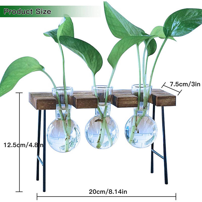 Chậu Trồng Cây Thủy Tinh Kèm Giá Đỡ Gỗ 3 Bóng Đèn Độc Đáo Trang Trí Nhà Cửa / Văn