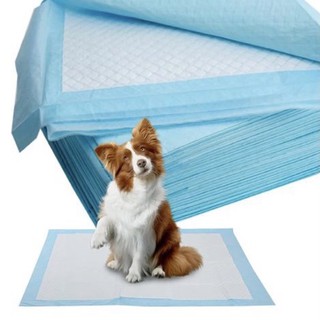 Tấm lót chuồng vệ sinh cho chó mèo Doog & Caat (Lẻ 1 miếng)