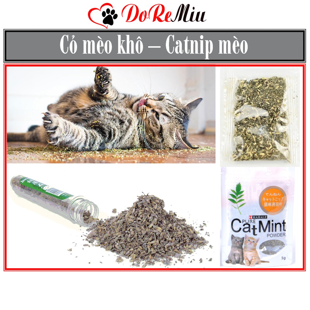 Doremiu- Cỏ mèo khô (3 loại) Cho mèo chơi cỏ catnip phê pha