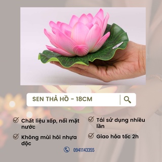 HCM_Hoa sen thả hồ, trang trí tiểu cảnh thả nổi trên nước