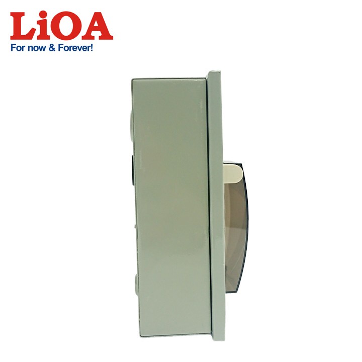 Tủ điện kim loại chứa 2 aptomat LIOA