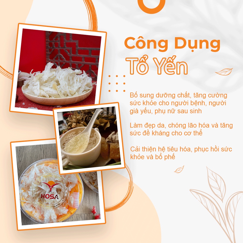 Chân Yến Sào Tinh Chế HOSA Hộp 50Gr/100Gr Tăng Đề Kháng