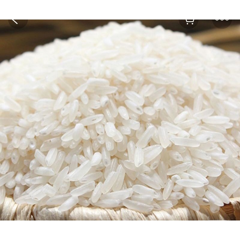 Gạo Tám Thơm Hải Hậu thơm,dẻo ráo,đậm cơm 10kg