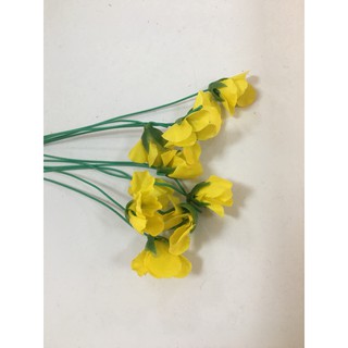 TẾT - NỤ MAI - BỊCH 100g
