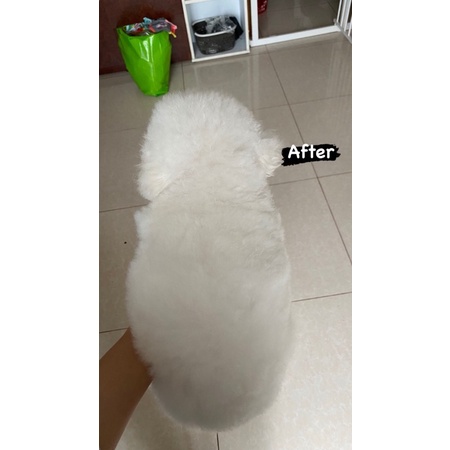 Sữa tắm thú cưng dành cho lông trắng